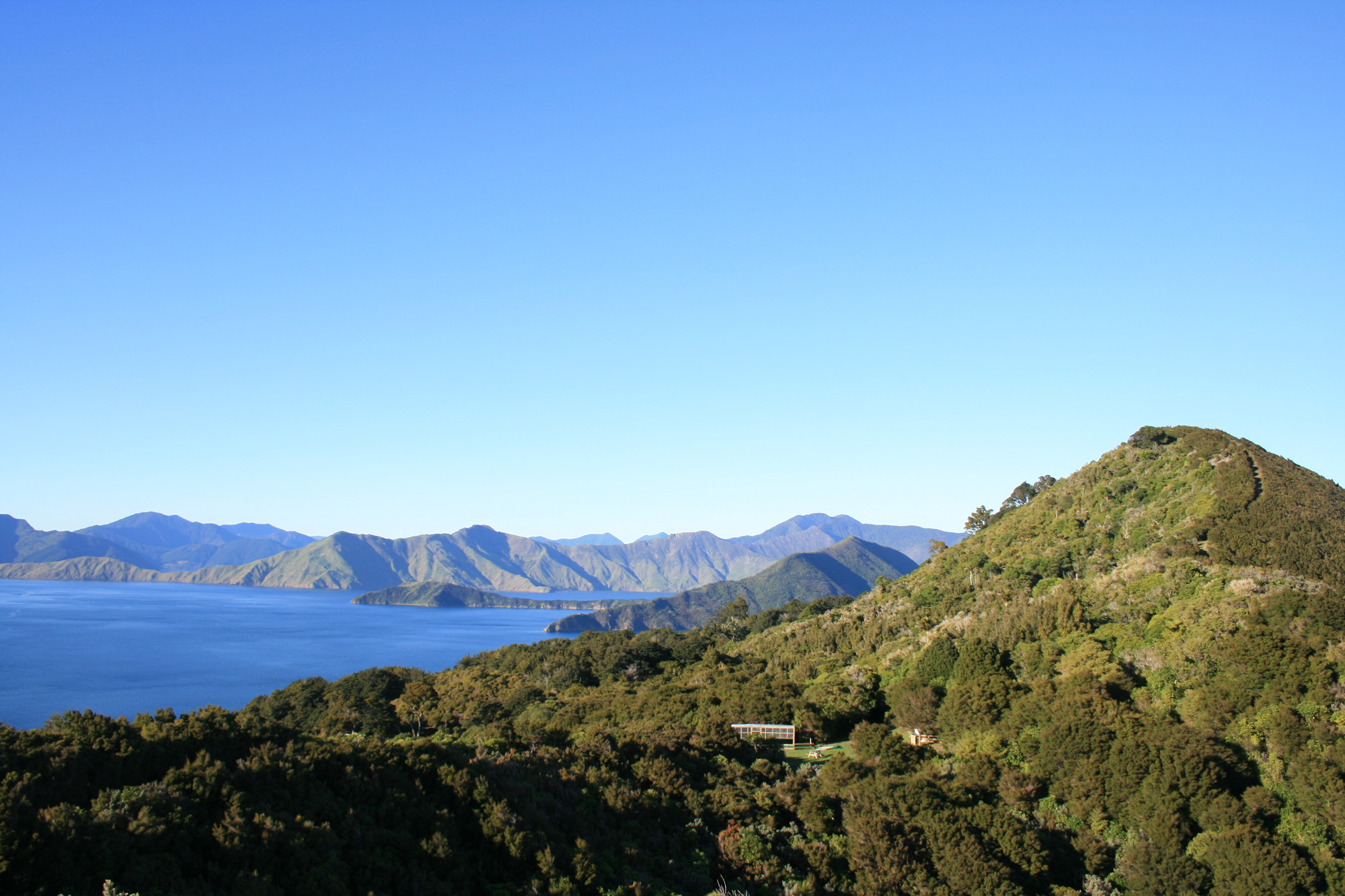 tui nature reserve 2